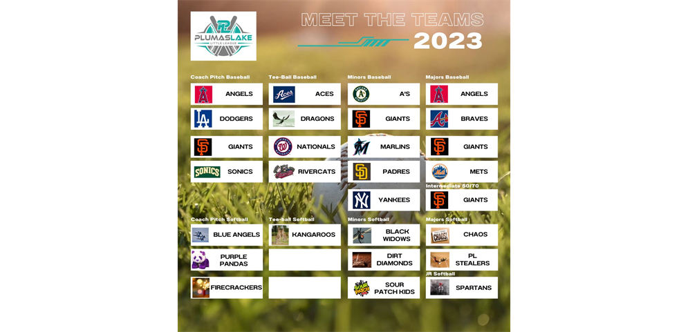 Plumas Lake Little League Teams 2023